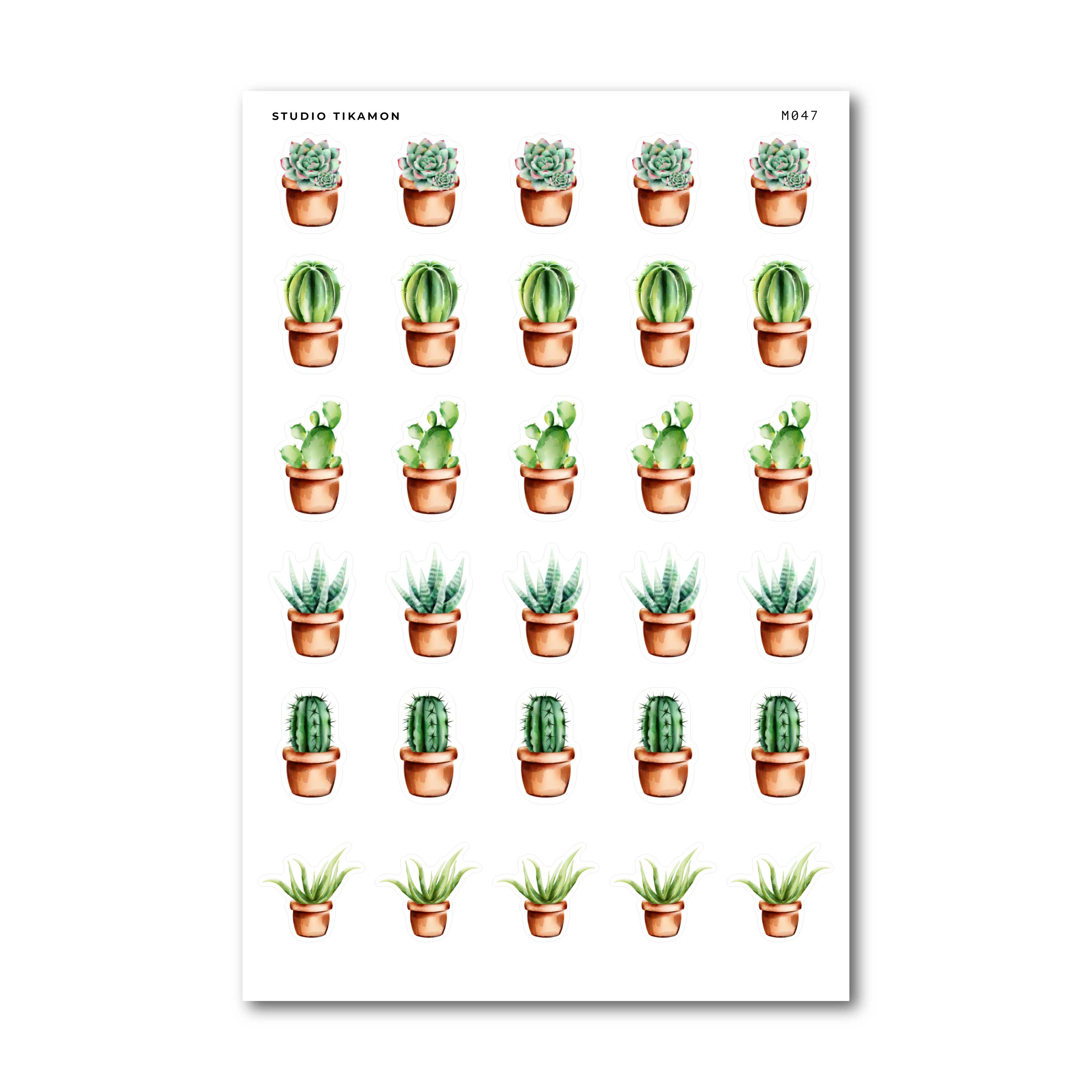 watercolour potted succulent stickers